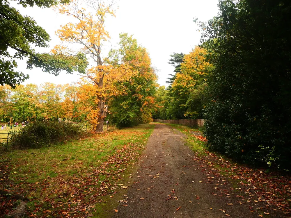 Driveway north from Ormesby Hall